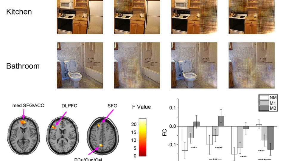 Brain Neural Mechanisms when Objects are Masked in Scenes