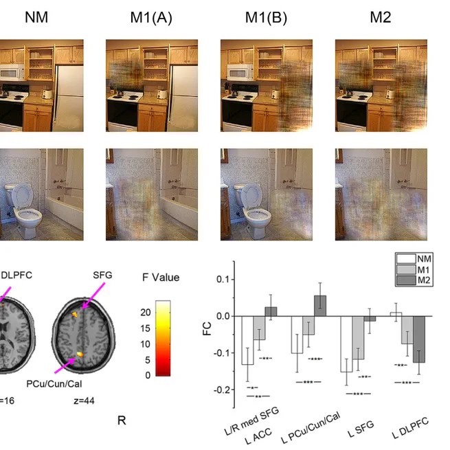 Brain Neural Mechanisms when Objects are Masked in Scenes